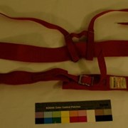 Cover image of Climbing Harness